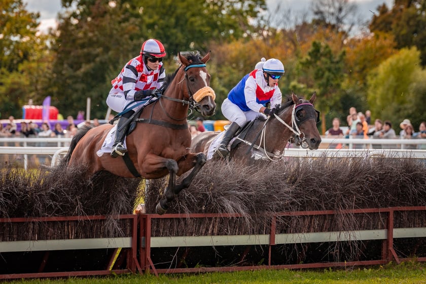 Wielka Wrocławska i Wielka Partynicka oraz 6 innych gonitw na Torze Partynice we Wrocławiu - 7 września 2025