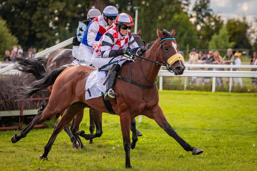 Wielka Wrocławska i Wielka Partynicka oraz 6 innych gonitw na Torze Partynice we Wrocławiu - 7 września 2025