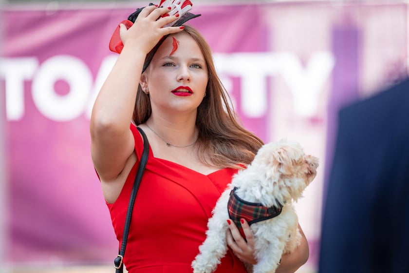 Wielka Wrocławska i Wielka Partynicka oraz 6 innych gonitw na Torze Partynice we Wrocławiu - 7 września 2025