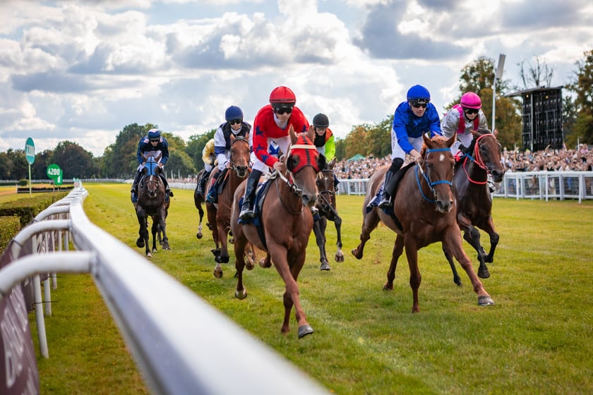 Wielka Wrocławska i Wielka Partynicka oraz 6 innych gonitw na Torze Partynice we Wrocławiu - 7 września 2025