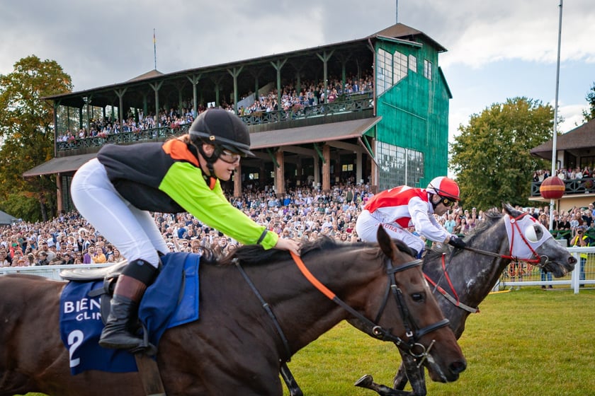 Wielka Wrocławska i Wielka Partynicka oraz 6 innych gonitw na Torze Partynice we Wrocławiu - 7 września 2025