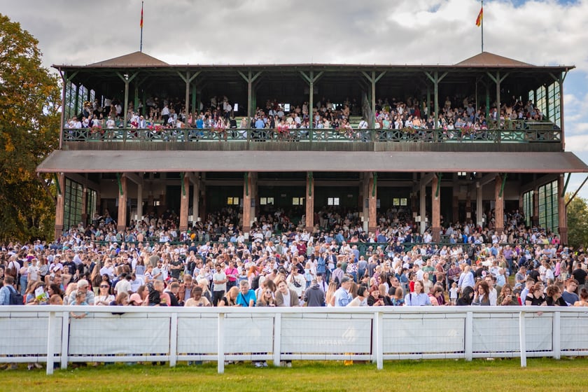 Wielka Wrocławska i Wielka Partynicka oraz 6 innych gonitw na Torze Partynice we Wrocławiu - 7 września 2025