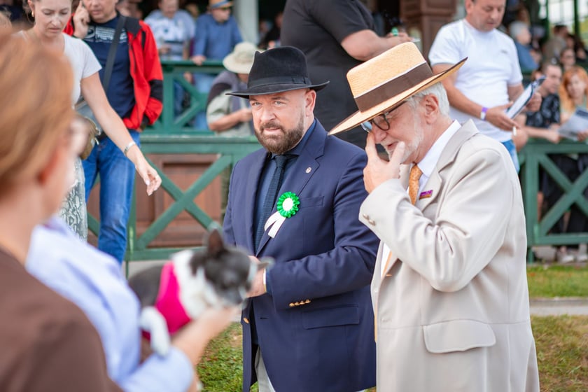 Wielka Wrocławska i Wielka Partynicka oraz 6 innych gonitw na Torze Partynice we Wrocławiu - 7 września 2025