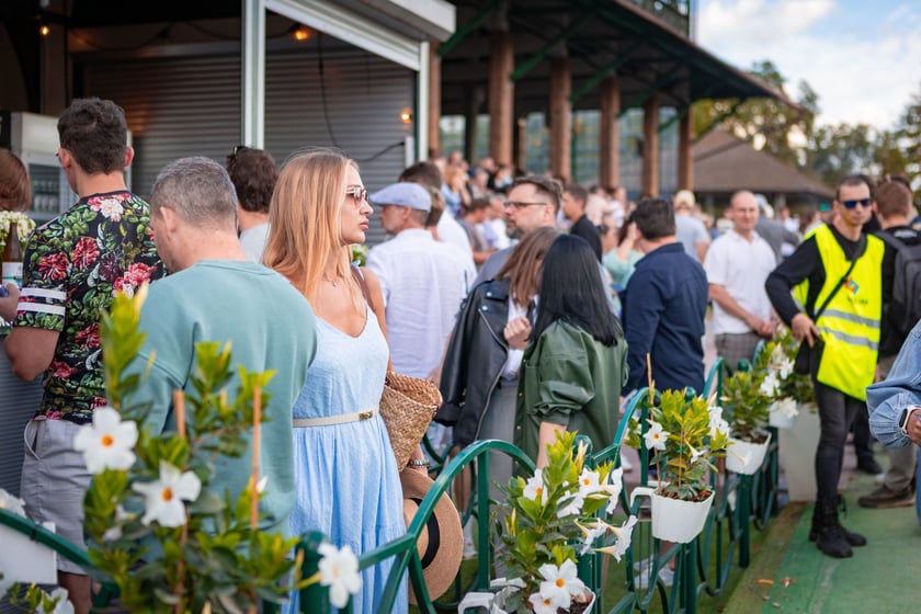 Wielka Wrocławska i Wielka Partynicka oraz 6 innych gonitw na Torze Partynice we Wrocławiu - 7 września 2025