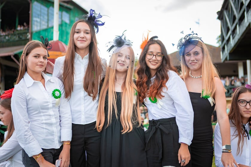 Wielka Wrocławska i Wielka Partynicka oraz 6 innych gonitw na Torze Partynice we Wrocławiu - 7 września 2025