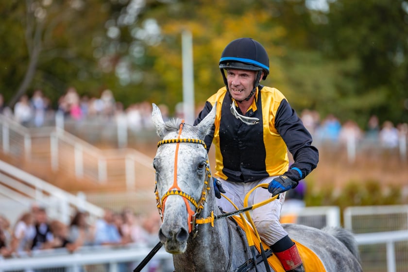 Wielka Wrocławska i Wielka Partynicka oraz 6 innych gonitw na Torze Partynice we Wrocławiu - 7 września 2025