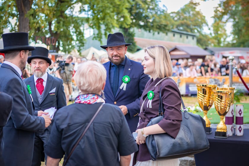 Wielka Wrocławska i Wielka Partynicka oraz 6 innych gonitw na Torze Partynice we Wrocławiu - 7 września 2025