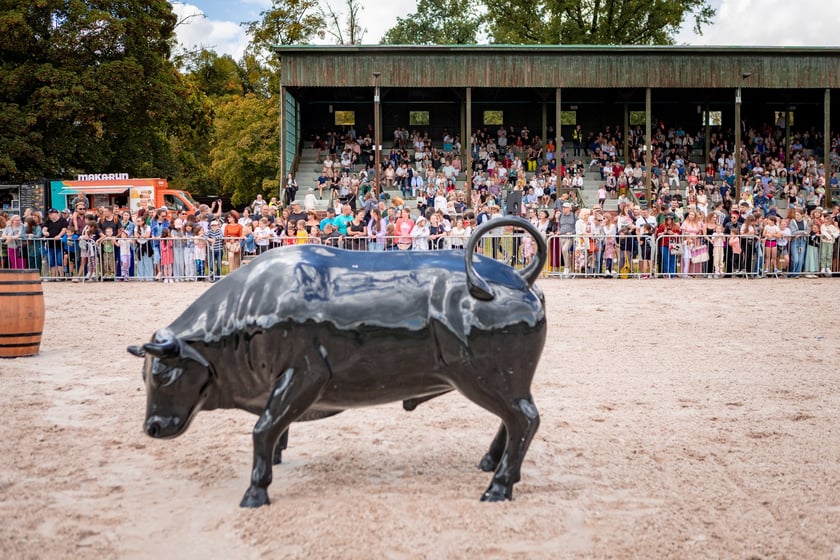 Wielka Wrocławska i Wielka Partynicka oraz 6 innych gonitw na Torze Partynice we Wrocławiu - 7 września 2025