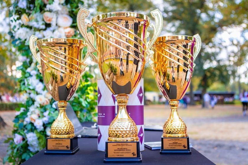 Wielka Wrocławska i Wielka Partynicka oraz 6 innych gonitw na Torze Partynice we Wrocławiu - 7 września 2025