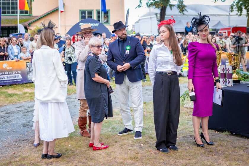 Wielka Wrocławska i Wielka Partynicka oraz 6 innych gonitw na Torze Partynice we Wrocławiu - 7 września 2025