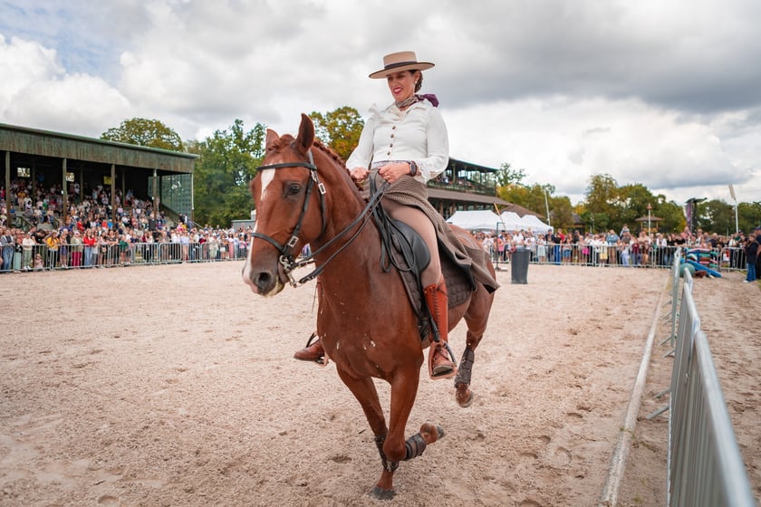 Wielka Wrocławska i Wielka Partynicka oraz 6 innych gonitw na Torze Partynice we Wrocławiu - 7 września 2025