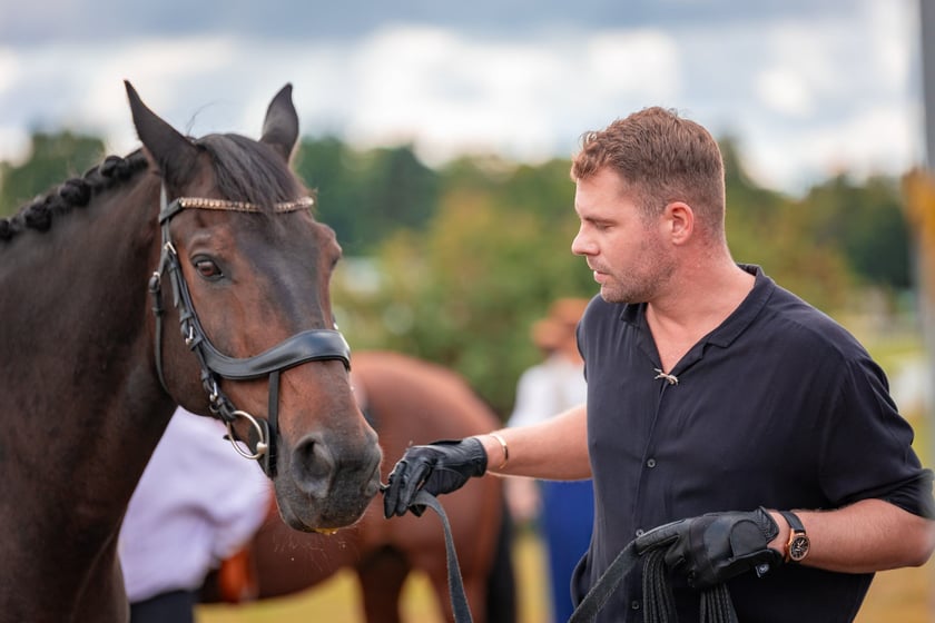 Wielka Wrocławska i Wielka Partynicka oraz 6 innych gonitw na Torze Partynice we Wrocławiu - 7 września 2025