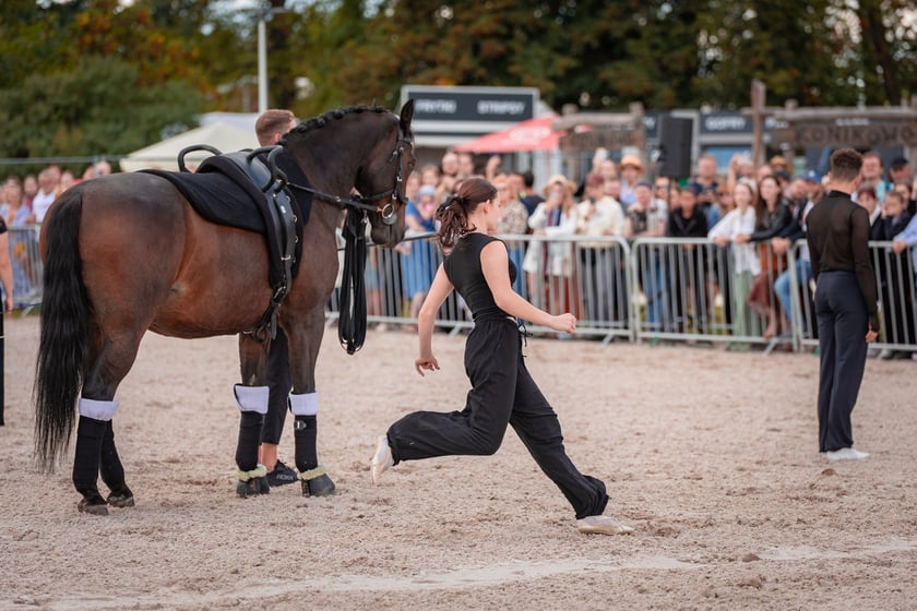 Wielka Wrocławska i Wielka Partynicka oraz 6 innych gonitw na Torze Partynice we Wrocławiu - 7 września 2025