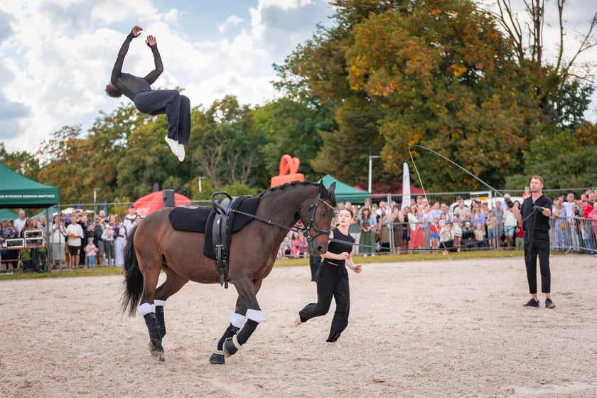 Wielka Wrocławska i Wielka Partynicka oraz 6 innych gonitw na Torze Partynice we Wrocławiu - 7 września 2025