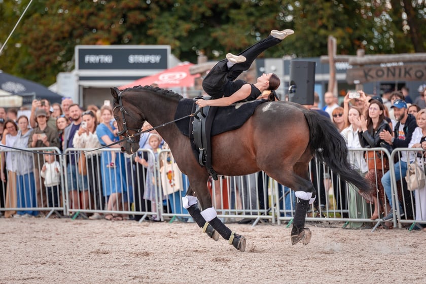 Wielka Wrocławska i Wielka Partynicka oraz 6 innych gonitw na Torze Partynice we Wrocławiu - 7 września 2025