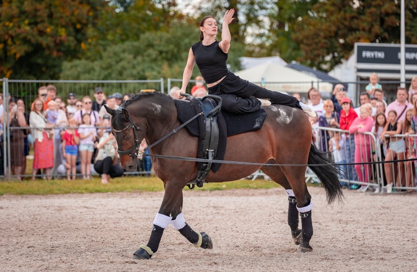 Wielka Wrocławska i Wielka Partynicka oraz 6 innych gonitw na Torze Partynice we Wrocławiu - 7 września 2025