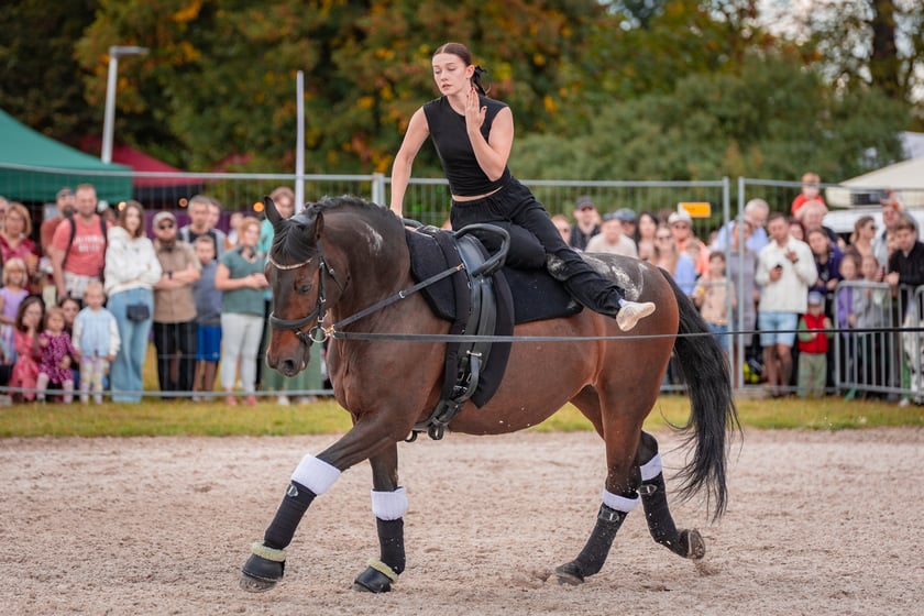 Wielka Wrocławska i Wielka Partynicka oraz 6 innych gonitw na Torze Partynice we Wrocławiu - 7 września 2025