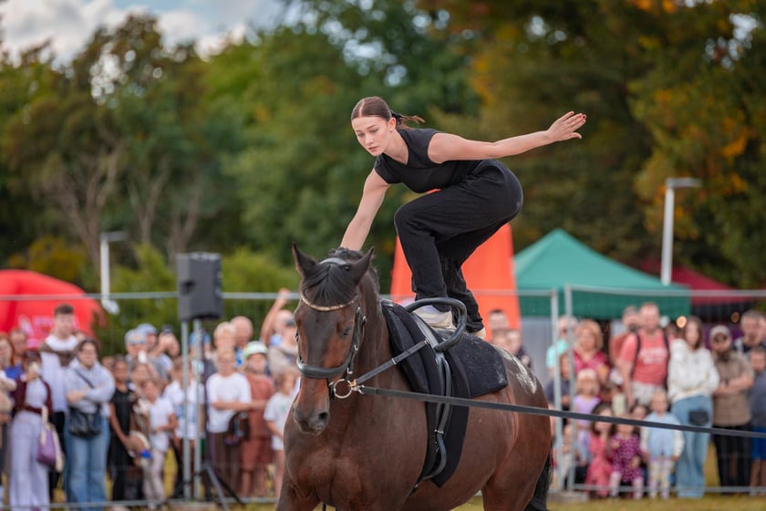 Wielka Wrocławska i Wielka Partynicka oraz 6 innych gonitw na Torze Partynice we Wrocławiu - 7 września 2025