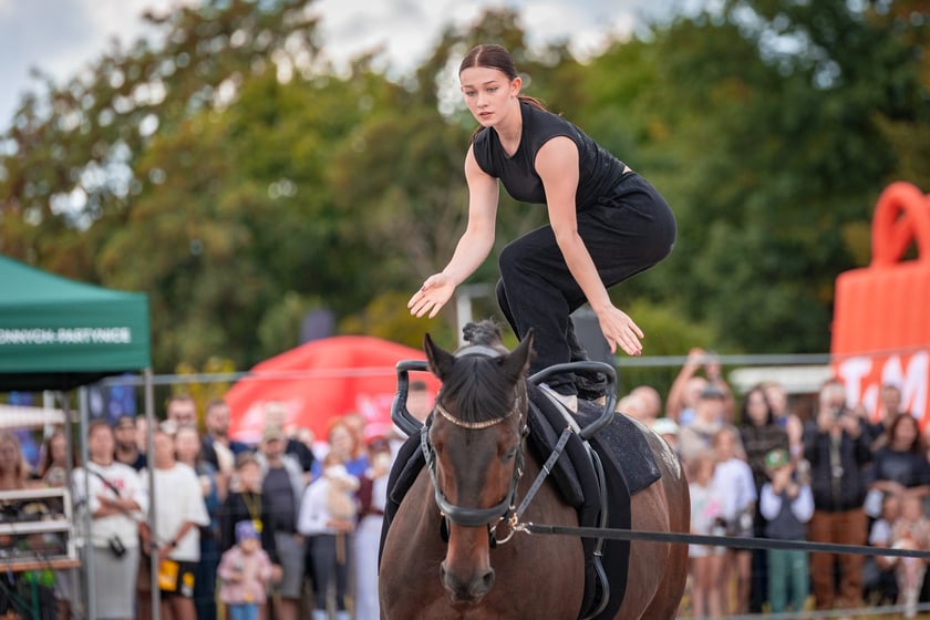 Wielka Wrocławska i Wielka Partynicka oraz 6 innych gonitw na Torze Partynice we Wrocławiu - 7 września 2025
