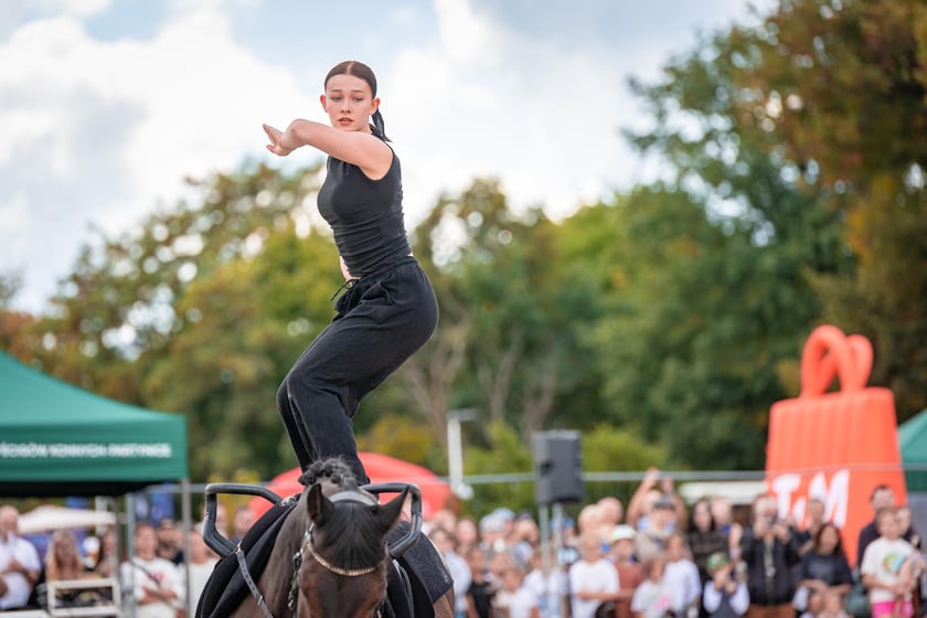 Wielka Wrocławska i Wielka Partynicka oraz 6 innych gonitw na Torze Partynice we Wrocławiu - 7 września 2025