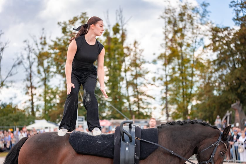 Wielka Wrocławska i Wielka Partynicka oraz 6 innych gonitw na Torze Partynice we Wrocławiu - 7 września 2025