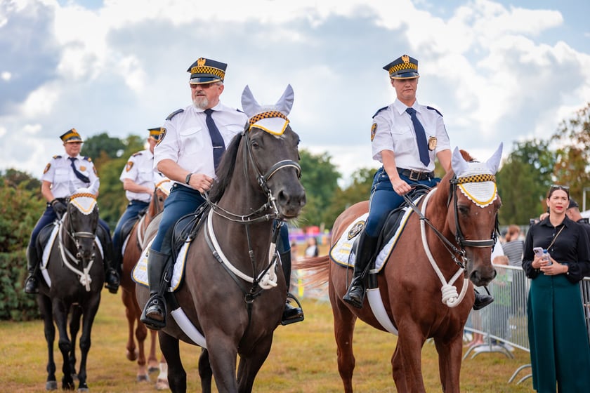 Wielka Wrocławska i Wielka Partynicka oraz 6 innych gonitw na Torze Partynice we Wrocławiu - 7 września 2025