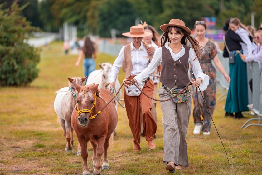 Wielka Wrocławska i Wielka Partynicka oraz 6 innych gonitw na Torze Partynice we Wrocławiu - 7 września 2025