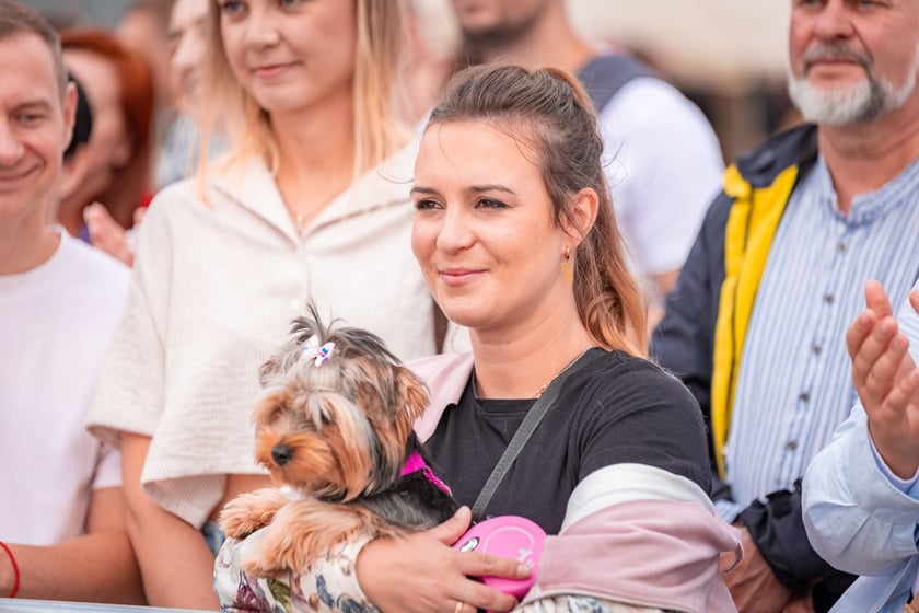 Wielka Wrocławska i Wielka Partynicka oraz 6 innych gonitw na Torze Partynice we Wrocławiu - 7 września 2025