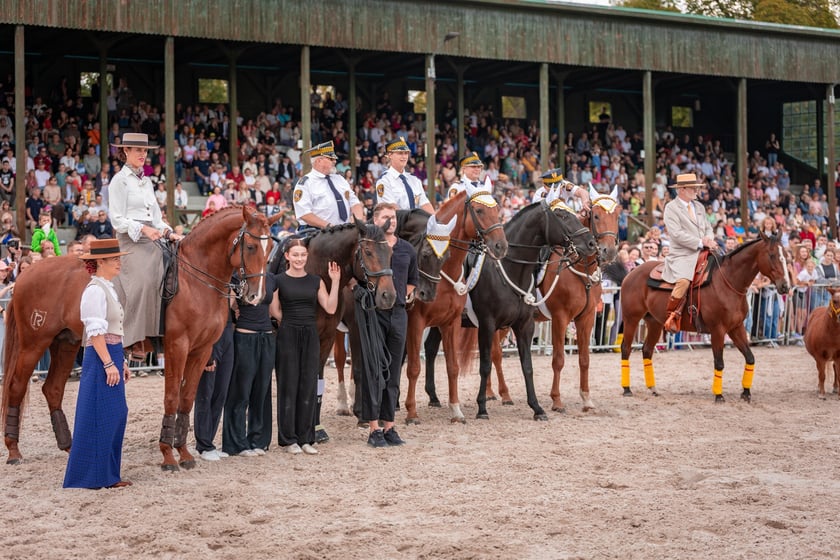 Wielka Wrocławska i Wielka Partynicka oraz 6 innych gonitw na Torze Partynice we Wrocławiu - 7 września 2025