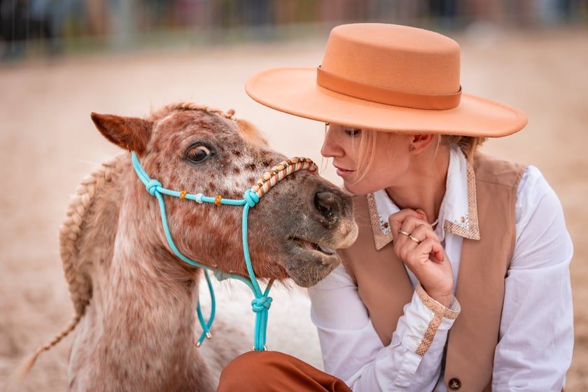 Wielka Wrocławska i Wielka Partynicka oraz 6 innych gonitw na Torze Partynice we Wrocławiu - 7 września 2025