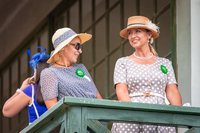 Wielka Wrocławska i Wielka Partynicka oraz 6 innych gonitw na Torze Partynice we Wrocławiu - 7 września 2025