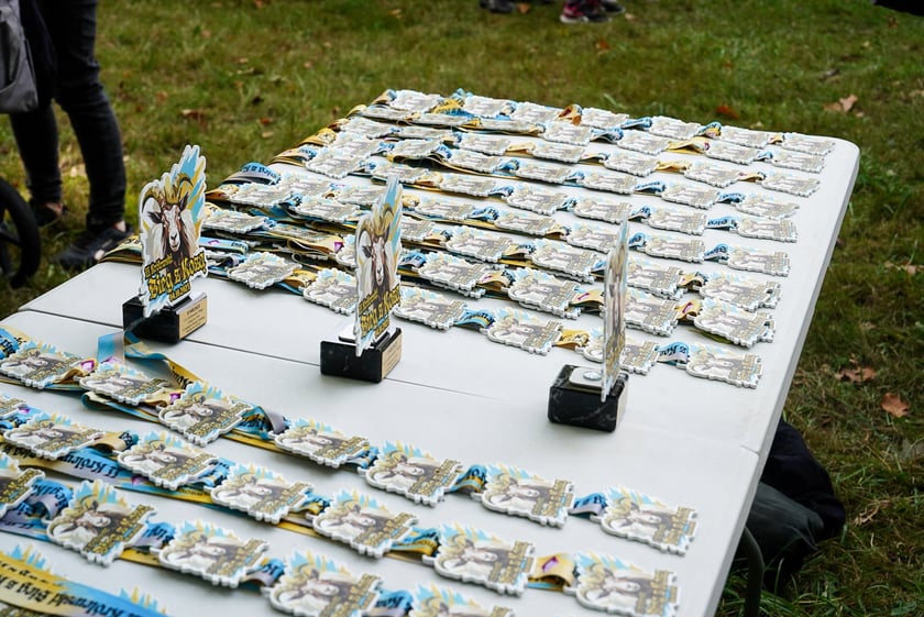 Królewski Bieg z Kozą i festyn na Kozanowie - 4.10.2025 r.