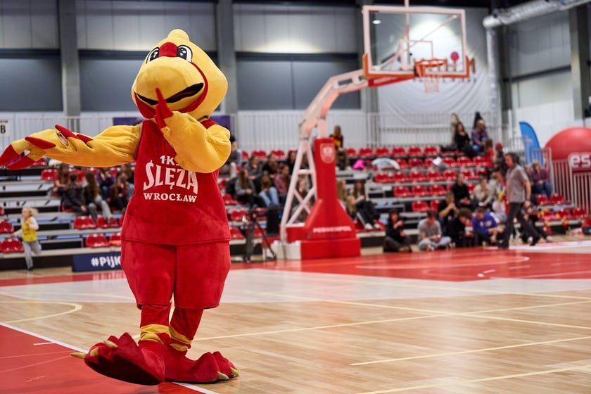 Ślęza vs. Beroe, 9 ppaździernika 2025, KGHM Ślęza Arena