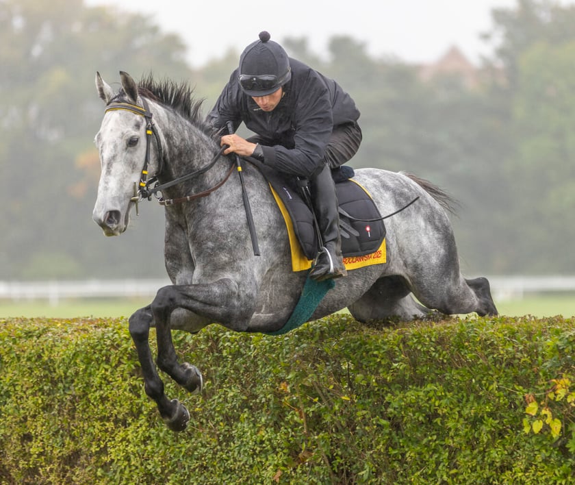 Paweł Pałczyński i Jadmir trenujący przed Crystal Cup. Wrocław, październik 2025
