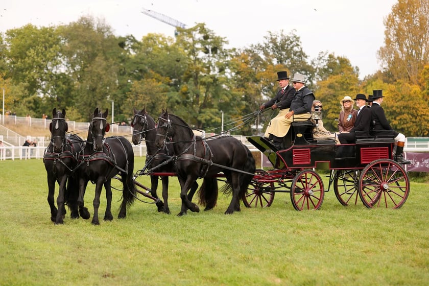 Crystal Cup na Partynicach. Zdjęcie archiwalne z 2024 roku