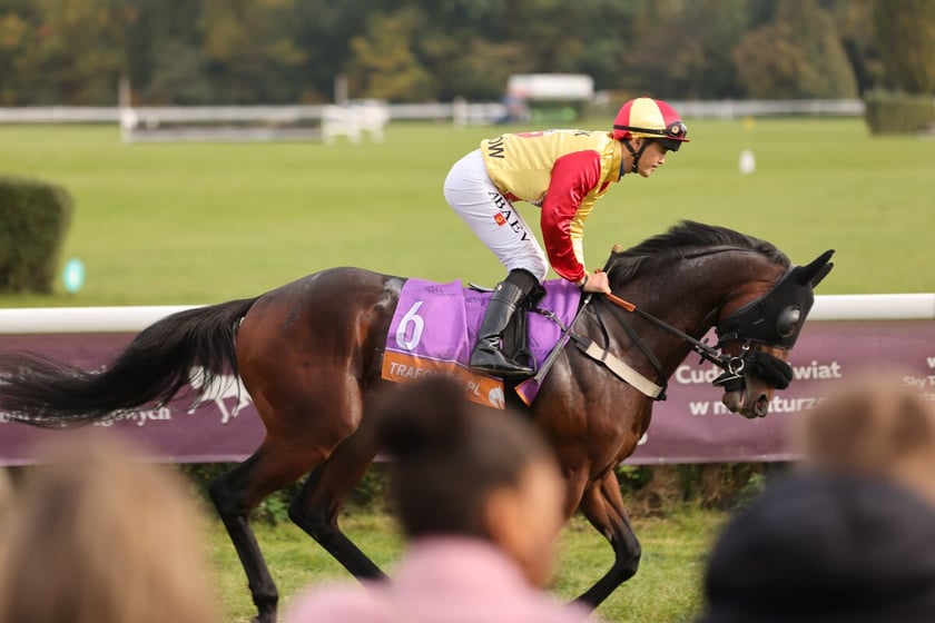 Crystal Cup na Partynicach. Zdjęcie archiwalne z 2024 roku