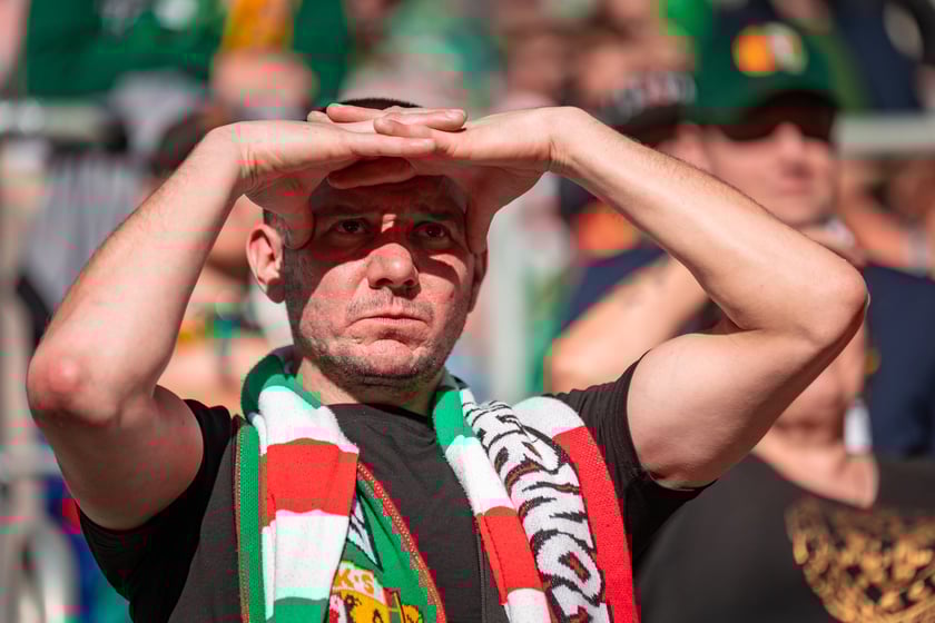 Śląsk Wrocław - Stal Mielec. Zdjęcia kibiców (19.10.2025)