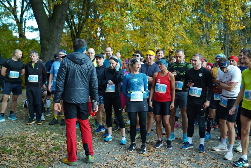 Bieg Wielkiej Wyspy. Wrocław, 25.10.2025