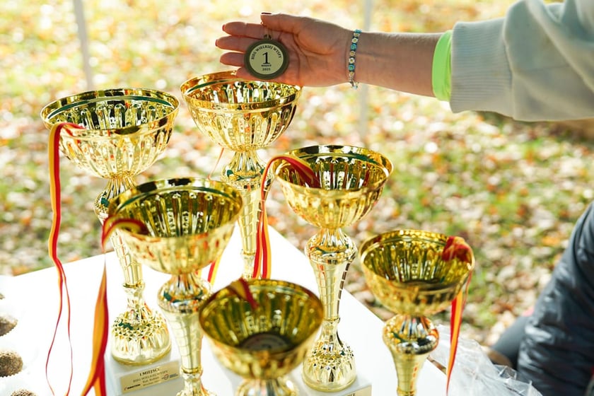 Bieg Wielkiej Wyspy. Wrocław, 25.10.2025