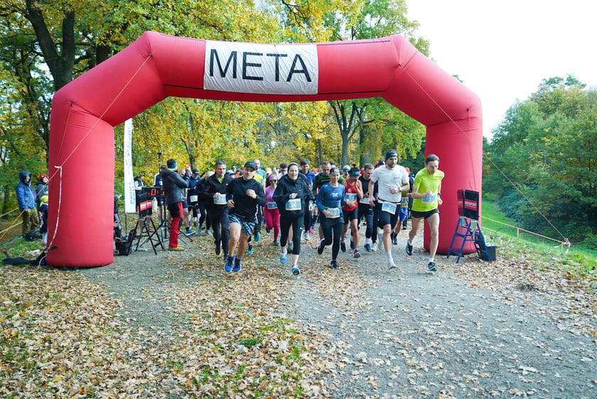 Bieg Wielkiej Wyspy. Wrocław, 25.10.2025