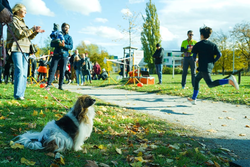 Halloweenowy bieg Radia Wrocław. Park Skowroni, 26.10.2025