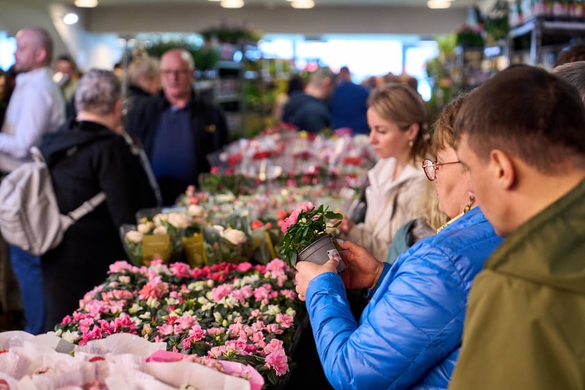 Fantastyczny World Flower Show &ndash; Światowa Wystawa Roślin na Tarczyński Arena 11 i 12 kwietnia