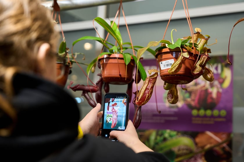 Fantastyczny World Flower Show &ndash; Światowa Wystawa Roślin na Tarczyński Arena 11 i 12 kwietnia