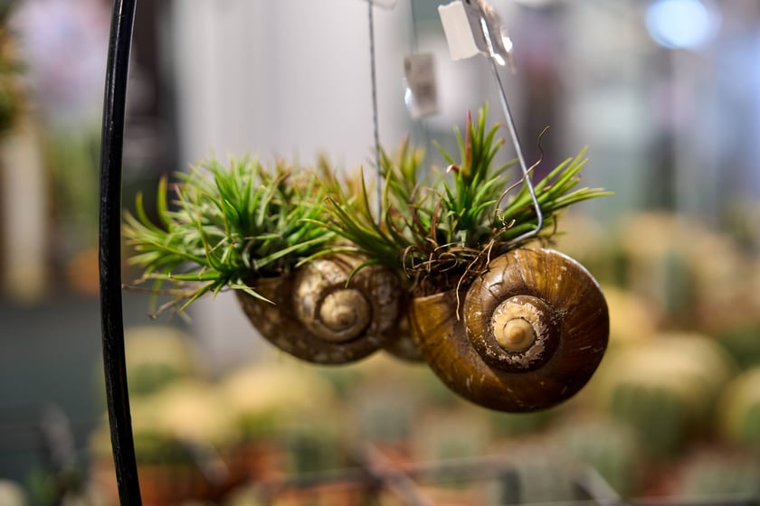 Fantastyczny World Flower Show &ndash; Światowa Wystawa Roślin na Tarczyński Arena 11 i 12 kwietnia