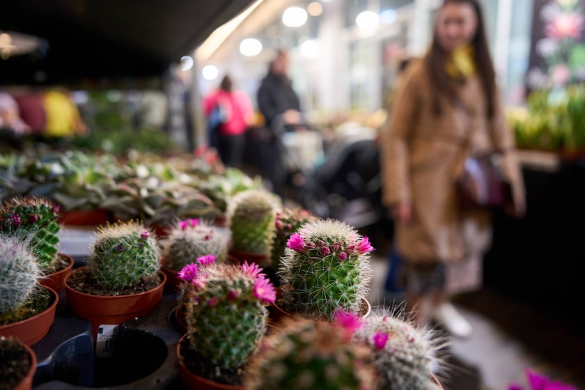 Fantastyczny World Flower Show &ndash; Światowa Wystawa Roślin na Tarczyński Arena 11 i 12 kwietnia
