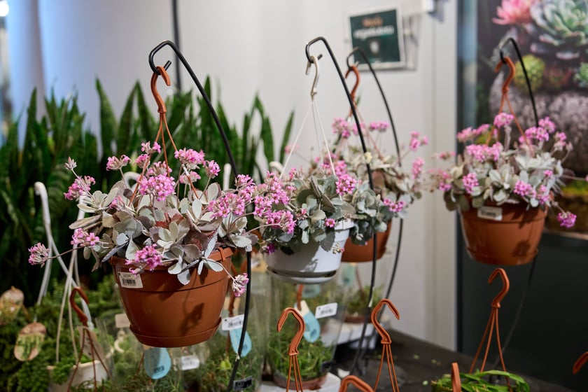 Fantastyczny World Flower Show &ndash; Światowa Wystawa Roślin na Tarczyński Arena 11 i 12 kwietnia