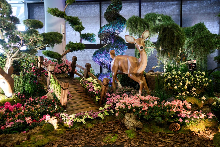 Fantastyczny World Flower Show &ndash; Światowa Wystawa Roślin na Tarczyński Arena 11 i 12 kwietnia