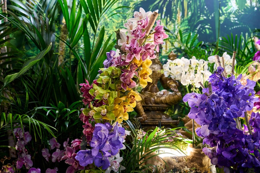 Fantastyczny World Flower Show &ndash; Światowa Wystawa Roślin na Tarczyński Arena 11 i 12 kwietnia