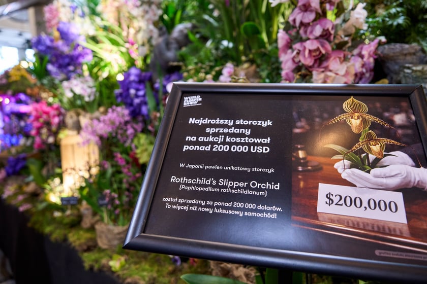 Fantastyczny World Flower Show &ndash; Światowa Wystawa Roślin na Tarczyński Arena 11 i 12 kwietnia