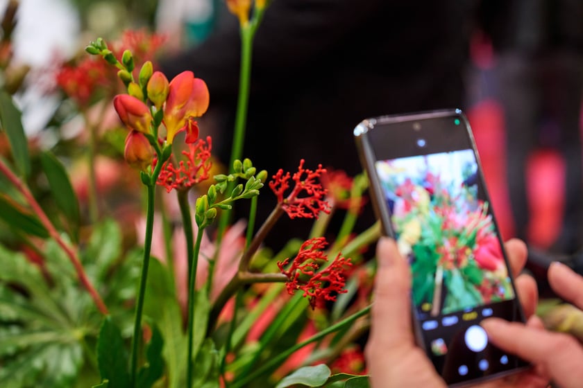 Fantastyczny World Flower Show &ndash; Światowa Wystawa Roślin na Tarczyński Arena 11 i 12 kwietnia